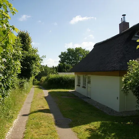 Kate Unter Reet Im Gruenen