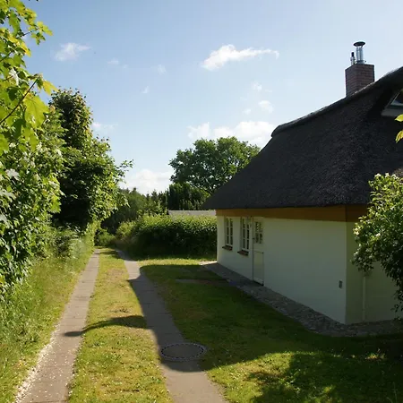 Kate Unter Reet Im Gruenen Holiday home