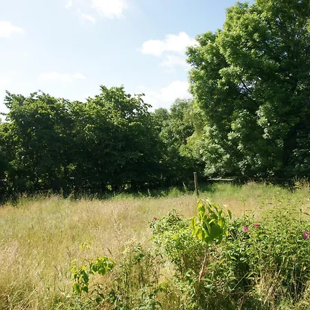 Kate Unter Reet Im Gruenen Buchholz (Dithmarschen)