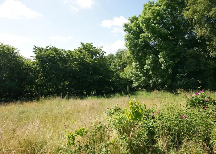 Kate Unter Reet Im Gruenen Dom wakacyjny Buchholz (Dithmarschen)